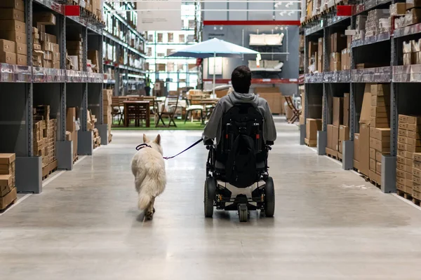 Service dog and disabled person