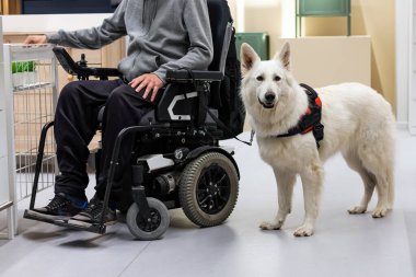 Hizmet köpeği ve engelli kişi