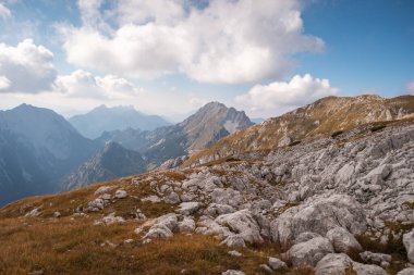 Alp dağı sıraları