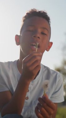 İlkokul çocuğu doğada babasıyla vakit geçiriyor, karahindiba üflerken eğleniyor, yakın çekim yapıyor..