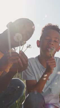 Gülümseyen Afrikalı Amerikalı baba ve oğlu açık havada güneşleniyorlar, dilek tutup karahindiba üflüyorlar, yakın çekim yapıyorlar..