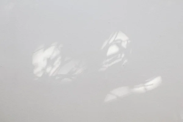 Superposición Sombra Natural Sobre Fondo Textura Blanca Para Superposición Presentación — Foto de Stock