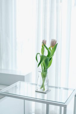 Vazoda pembe laleler. Sabah güneşinde bir buket çiçek. Konforlu ev tasarımı ve minimalizm. Modern oturma odası ya da yatak odası, dikey, yakın, serbest alan