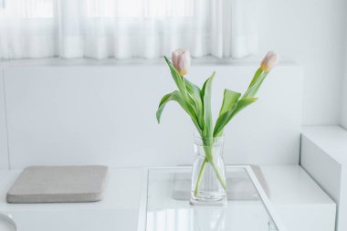 Vazoda pembe laleler. Sabah güneşinde bir buket çiçek. Konforlu ev tasarımı ve minimalizm. Modern oturma odası ya da yatak odası, dikey, yakın, serbest alan