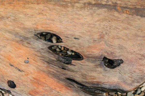 Piédestal Bois Avec Fissures Trous Fond Texture Bois Cassé Pied — Photo