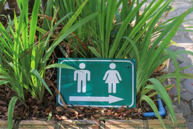 Halk parkında yeşil çimlerin üzerinde umumi tuvalet işareti var. Semboller kopyalama alanı ile tuvalete yönelir.