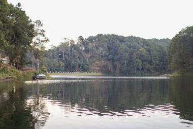 Etrafı yemyeşil ağaçlarla çevrili güzel sakin göl ayna etkisi yaratıyor. Huzurlu doğal manzara.