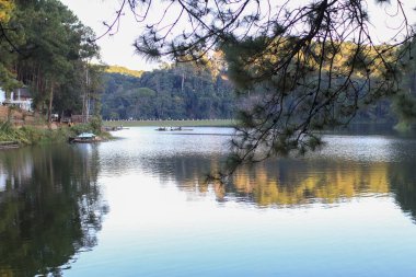 Etrafı yemyeşil ağaçlarla çevrili güzel sakin göl ayna etkisi yaratıyor. Huzurlu doğal manzara.