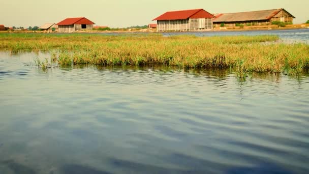 Elárasztott Sós Gazdaság Sótároló Ház Kampot Kambodzsában Monszun Szezonban — Stock videók