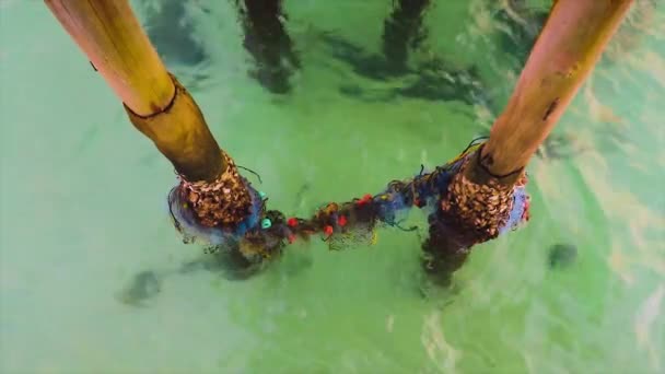 Kasserade Fiskenät Insnärjda Bambustolpe Till Havs Som Visar Mänsklig Förorening — Stockvideo