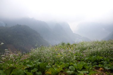 Sa Pin, Vietnam 'daki Dong Van Karst Plato Geopark' taki dağların sinematik manzarası.