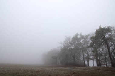 Kırsalda sisli bir sabah.