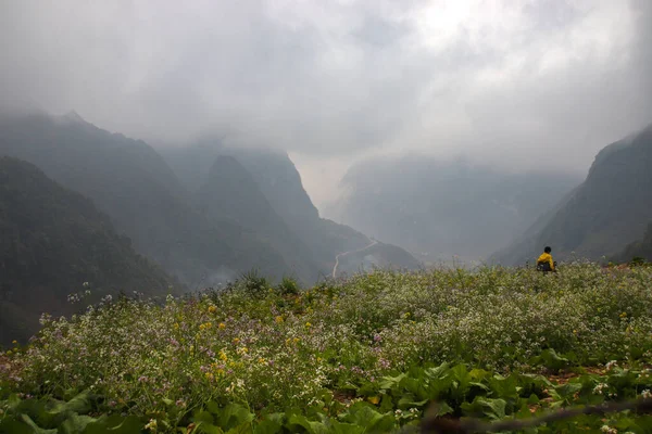 Paysage Cinématographique Montagnes Dong Van Karst Plateau Géoparc Phin Vietnam — Photo