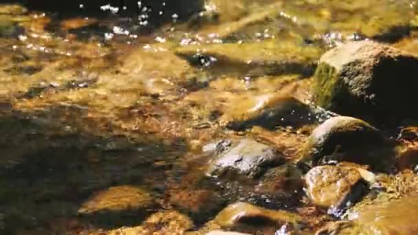 Närbild Rent Och Klart Sötvatten Från Naturlig Källa — Stockvideo