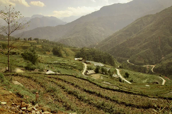 Traditionelle Reisterrassen Der Provinz Giang Vietnam — Stockfoto