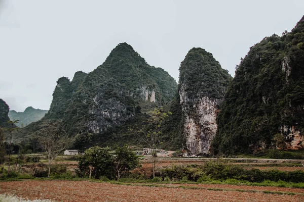 Montes Karst Dong Van Karst Plateau Geopark Giang Vietnam — Foto de Stock