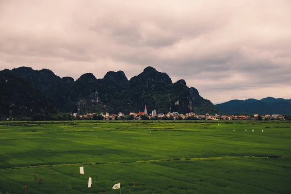 Paysage Cinématographique Riz Vert Parmi Les Montagnes Karstiques Ninh Binh — Photo