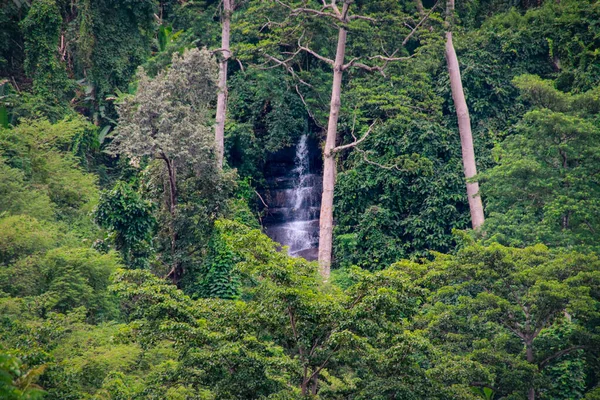 Ein Tief Üppigen Regenwald Verborgener Wasserfall — Stockfoto