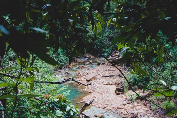 Schöner Bach Versteckt Wald Bokor Nationalpark Oder Preah Monivong Nationalpark — Stockfoto