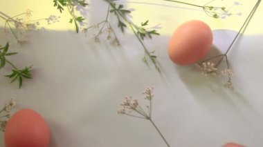 Basit bir Paskalya ve Bahar temalı arkaplan oluşturmak için çiçek ve yumurta düzenlemek