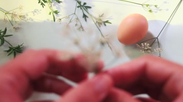 Visão Aérea Das Mãos Organizando Flores Ovos Para Fazer Fundo — Vídeo de Stock