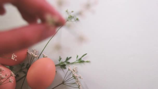 Organizar Suavemente Ovos Castanhos Delicadas Flores Brancas Para Criar Uma — Vídeo de Stock