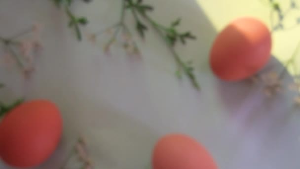 Rack Foco Ovos Flores Delicadas Dispostos Para Criar Uma Fronteira — Vídeo de Stock