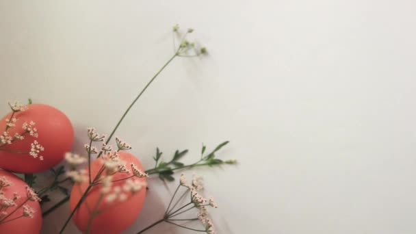 Lkbahar Paskalya Temalı Bir Arkaplan Oluşturmak Için Yumurta Zarif Çiçekler — Stok video