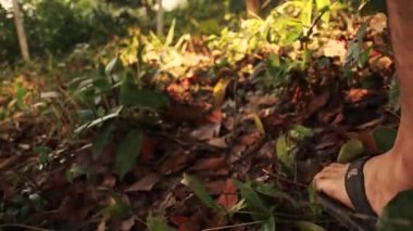 Bir yaz öğleden sonrası boyunca ormanda parmak arası terliklerle yürüyen bir adam.