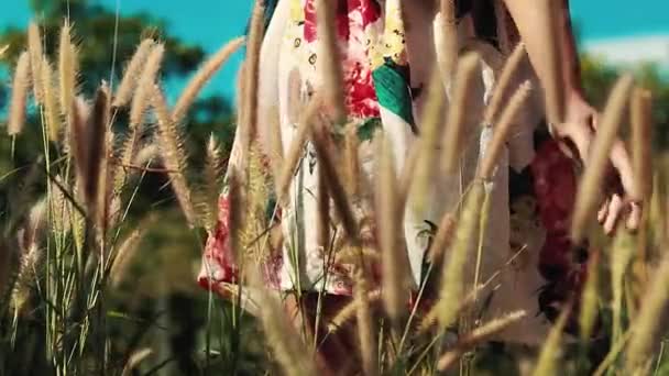 Conceptuele Video Van Een Vrouw Bloemenjurk Tussen Het Hoge Gras — Stockvideo