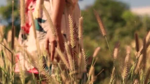 Cinematic Video Woman Tall Grasses Enjoying Warm Afternoon Sun — Stock Video