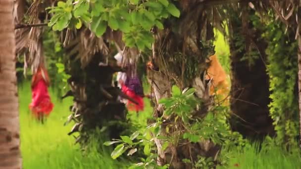 Focus Voorgrond Kinderen Dragen Hijabs Lopen Tussen Bomen Het Cham — Stockvideo