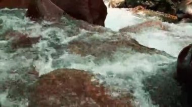 Nehirde akan suya yakın akıntılar doğanın gücünü ve potansiyel yenilenebilir enerji kaynağını gösteriyor.