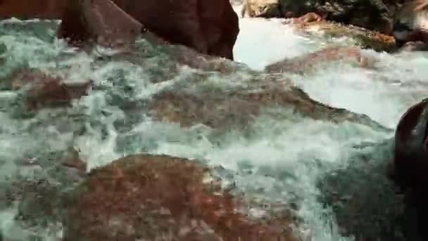 Detailní Záběr Vody Proudící Říčních Peřejích Ukazující Sílu Přírody Potenciální — Stock video