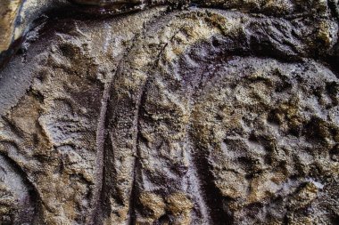 Kaba beton duvarlı arka plan görünümünü kapat