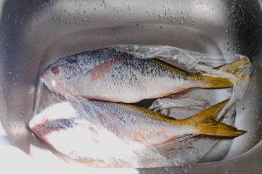 Mutfak lavabosundaki taze balık manzarası.