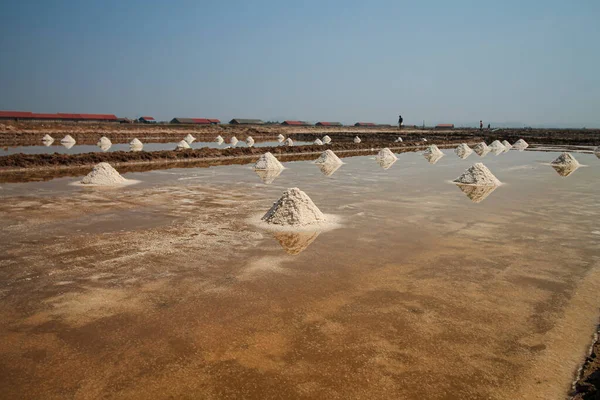 Montones Sal Orgánica Listos Para Ser Cosechados Las Granjas Sal — Foto de Stock