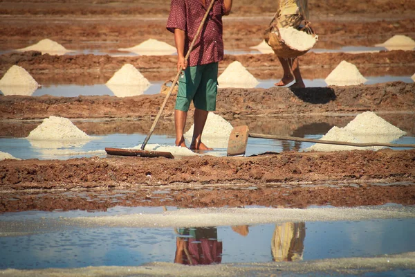 Låg Andel Person Som Skördar Salt Traditionellt Sätt Kampot Kambodja — Stockfoto