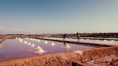 Yazı işleri. Kamboçya, Kamboçya 'da güneşli bir günde erkekler elle tuz topluyor.