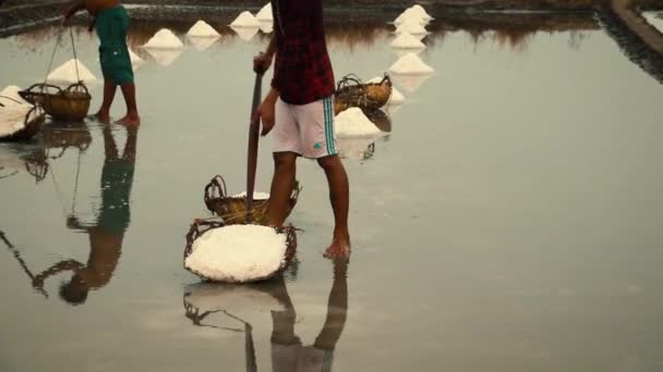 Homme Récoltant Sel Main Dans Les Célèbres Fermes Salines Kampot — Video