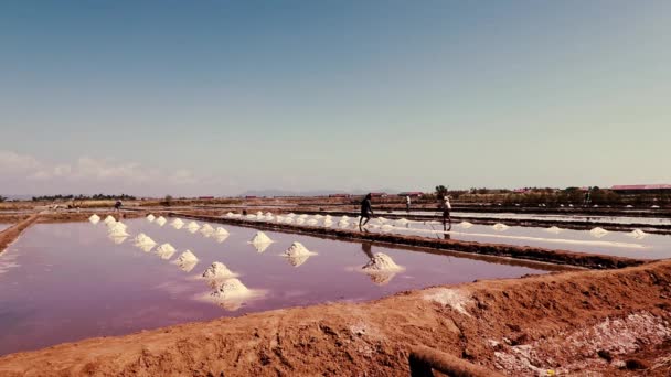 Redaktionell Män Skördar Salt Manuellt Solig Dag Kampot Kambodja — Stockvideo