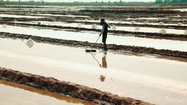 Redakční Muž Sklízí Sůl Ponurý Den Kampotě Kambodža — Stock video
