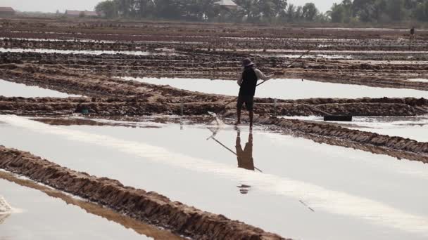 Editorial Hombre Cosechando Sal Día Sombrío Kampot Camboya — Vídeo de stock