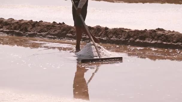 Traditionell Metod För Att Skörda Salt Kampot Slatfält Kambodja — Stockvideo
