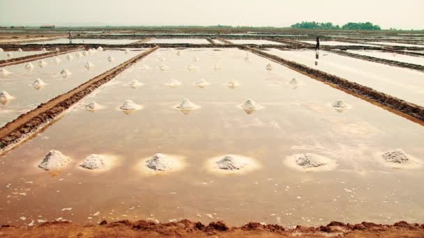 柬埔寨贡布盐场收获季节的广阔视野 — 图库视频影像
