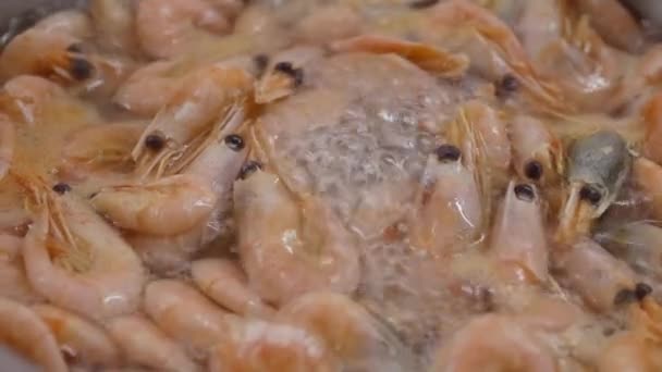 Close View Cooking Crewns Shrimps Кипячение Креветок Креветок Кастрюле Нержавеющей — стоковое видео