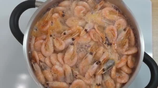 요리용 새우나 새우를 가까이 수있다 스테인리스 항아리에 새우나 새우를 — 비디오