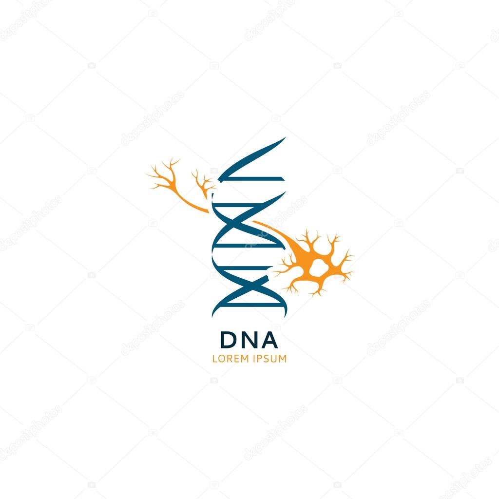 Vector DNA sketch for your design.
