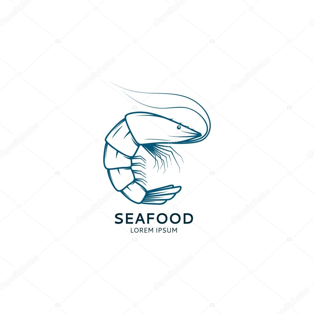 Vector shrimp sketch for your design.