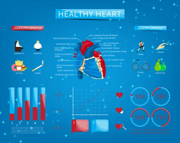 Joukko infographics noin terve sydän — vektorikuva